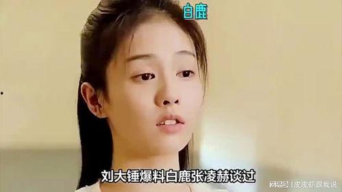 白鹿和张凌赫圈内爆料,揭秘娱乐圈背后的真实故事  第1张